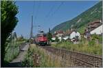 Near Ligerz, on the last remaining short section of single-track railway at the Jurasüdfussstrecke 210/southern foot of the Jura Mountains 210, is the SBB Re 6/6 11683 (Re 620 083-5)  Amsteg Silenen  with a cargo train on the way to Biel/Bienne. 

 
19.06.2025