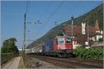 The SBB Re 6/6 11605 (Re 620 005-5)  Uster  is shortly before Ligerz with a freight train on its way towards Biel/Bienne.