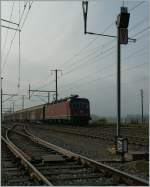 SBB Re 6/6 with a Cargo Train in Ependes. 31.10.2011