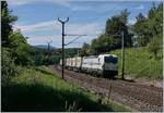 The Rail-Care Rem 476 455 with his Cargo Train on the way to Biel/Bienne by Bussigny.