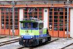In front of the loco shed at Spiez stands 245 024 on 7 June 2009.