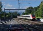 An ICN on the way to Zürich runs non stop trough the Chambésy Station.