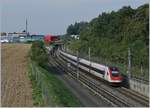 Two ICN from Geneva-Airport to Zurich on the NBS by Langentahl.