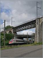 A SBB ICN on the way to Lausanne in Grenchen by the Mösli Viadukt. 

06.06.2021 