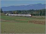 A SBB ICN on the way to by Bolken on the NBS Soltothurn - Wanzwil -(Rothrist).