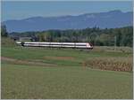 A SBB ICN on the way to by Bolken on the NBS Soltothurn - Wanzwil -(Rothrist). 

12.09.2022