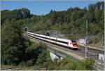 A SBB RABDe 500 from Rorschach to Genève Aéroport in Wanzenwil.