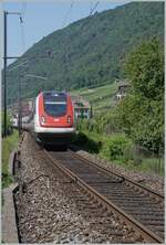 An ICN RABe 500 in the direction of Biel/Bienne is on its way near Ligerz. The remaining single-track route near Ligerz is to give way to a double-track in the tunnel, although the beautiful view of Lake Biel will then be lost. The commissioning of the new route was recently postponed to 2029.

June 5, 2023