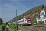 The SBB ICN RABe 500 025 'Xavier Stockmar' is shortly before Ligerz on its way to Lausanne. The trainset is passing here over the last single-track section of the Jura foot line. 

July 16, 2026