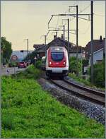 On the last, short single-track section of the Jura Foot Line between Twann and Ligerz, an SBB ICN RABDe 500 as IC 51 1612 on its way to Lausanne was photographed with a lot of zoom shortly after Bipschal.

August 24, 2026