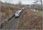 The SBB CFF LEX Flirt RAbe 522 226 by St-Laurent on the wayto Coppet.

21.02.2020