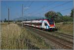 The SBB LEX RABe 522  229 on the way from La Plaine to Geneva by Bourdigny.