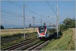 The SBB LEX RABe 522 226 on the wayfrom La Plaine to Geneva near Satigny by Bourdigny.