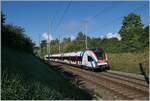 The SBB LEX RABe 522 213 on the way to Geneva between Russin and Satigny.

02.08.2021