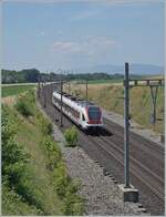 The SBB RABe 522 207 iis by Concise on the way to Yverdon. 

05.07.2025
