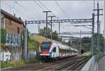 At first glance, a mundane shot: a rear view of an SBB LEX RABe 522; the special feature: the SBB RABe 522 229 is operating as RL7 23535 on its way from Annemasse to Vernier and leaves the CEVA line at Jonction to reach Vernier via the connecting tra ...