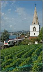 In the vineyards: a  Flirt by the Church of Villette VD.
29.08.2012