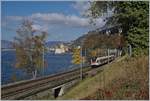 A SBB RABe 523 near the Castel of Chillon.