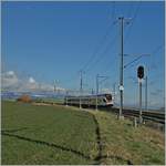 A SBB Flirt on the way from Vallorbe to Lausanne by Arnex.
12.02.2014