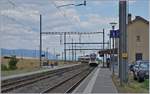 The SBB Flirts RABe 523 059 and 027 on the way from Vallorbe to Villeneuve in Arnex.