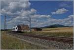 The SBB RABe 523 021  La Veveyse  on the way from Vallorbe to Villeneuve by Arnex. 

14.07.2020