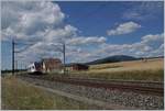 The SBB RABe 523 021  La Veveyse  on the way to Villeneuve near Arnex.