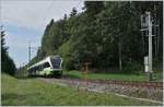 The TransN RABe 523 075 on the way to Le Locle by Geneveys sur Coffrane. 

03.09.2020