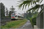 A SBB RABe 523 on the way to Villeneuve between Clarens and Montreux.