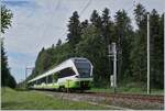 The TransN RABe 523 075 on the way from Le Locle to Neuchâtel by Les Geneveys sur Coffrane.