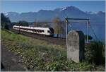 A SBB RABe 523 near Villeneuve.