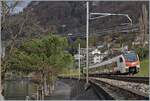 The new SBB Flirt RABe 523 107 on the way to Aigle near Villeneuve.