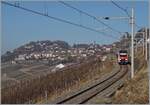 The new Flirt 3 SBB RABe 523 503  Mouette  (RABe 94 85 0 523 503-6 CH-SBB) by Chexbres on the way to Puidoux. 15.02.2023