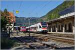 A SBB RABe 523 and in the background a TRAVYS Domino in Vallorbe.