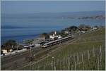 A SBB RABe 523 by Cully on the way to Lausanne.