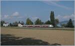 ASBB RABe 523 on the way to Sursee near Nebikon.