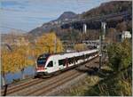 A SBB RABe 523 near Villeneuve on the way to Allaman.