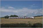 A SBB Flirt3 RABe 523 near Arnex on the way to Vallorbe.