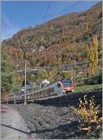 The SBB RABe 523 114 and another FLIRT train are seen shortly before Villeneuve, operating as R3 24341 from Vallorbe to Bex; the small, colorful tree in the foreground prompted me to capture this otherwise everyday (railway) scene.

November 4, 2025