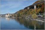 Against the backdrop of a colorful autumn landscape near Chillon Castle, two SBB Flirt regional trains are traveling towards Villeneuve.

November 4, 2025