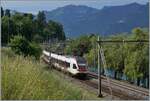 Der SBB RABe 523 015 und ein weiterer ist kurz vor Villeneuve auf dem Weg in Richtung Aigle. 

28. Mai 2025