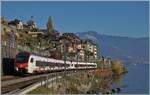 At Saint Saphorin, two Flirts RABe 523 of different types are on their way as a regional train towards Vevey.

15 November 2025