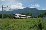 A SBB RABe 524 on the way to Locarno, in the back the Ticino Bridge.