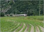 A Tilo RABE 524 near Riazzino on the way from Locarno to Bellinzona.