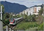 The TILO RAe 524 018 and 012 on the way to Locarno by San Quirico.