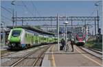 While the Trenord ETR 421  Rock  waits in Varese to continue its journey to Porto Ceresio, the SBB TILO RABe 524 019 turns around in Varesse to later return to Como.

May 23, 2023