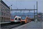 FLIRTS im Wandel der Zeit: Rechts ein  Ur-FLIRTS für die Zuger Stadtbahn geschafft und rechts ein SOB Traverso der im Fernverkehr der SOB zum Einsatz kommt.