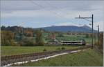 A SBB RBDe 560 wiht his Domino train is the local service from Palézieux to Payerne by Palézieux Village.