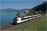 SBB RABe 560  Domino  by the Castle of Chillon.