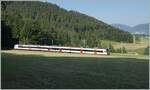 A SBB Domino runs on the Solothurn - Moutier Line (ex SMB now BLS) bei Corcelles BE on the way to Moutier.