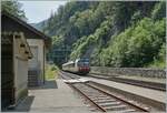 A SBB RBDe 560 Domino is arriving at Gänsbrunnen. 

17.06.2023